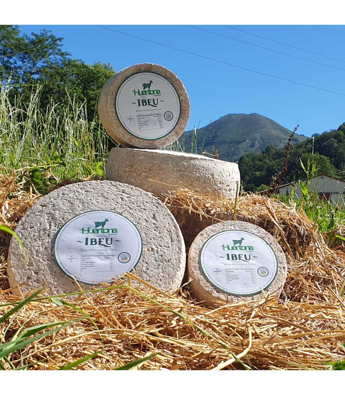 LA HUERTONA 99018 Cuña de queso Asturiano IBEU de leche de cabra - ambiente