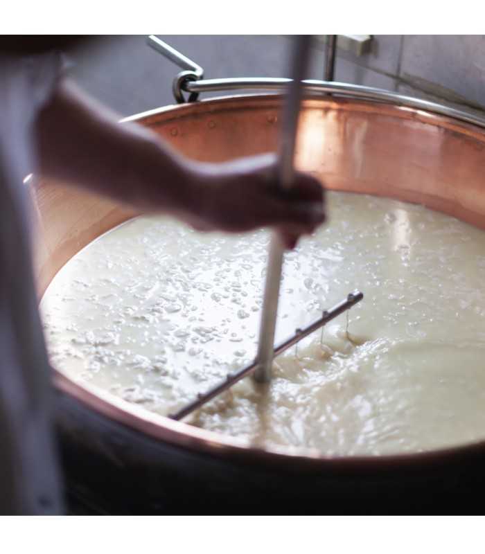 LA HUERTONA 80943 Cuña de queso Asturiano CALIZO de leche cruda madurado de vaca - elaboración